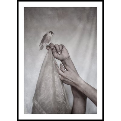 A BIRD AND TWO HANDS - Poster 50x70 cm