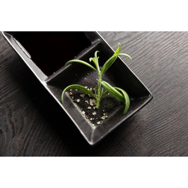 Wabi sabi fat 8 x 15 cm - Svart Wabi sabi fat 8 x 15 cm - Svart