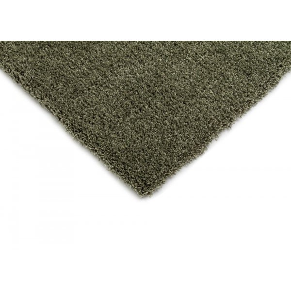 Ryamatta Dorsey - Vert