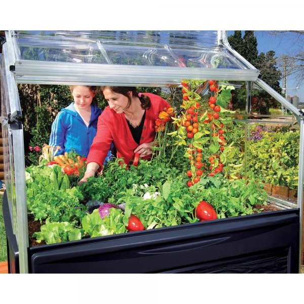 Minikas Plant In -1,3 mē Minikas Plant In -1,3 mē