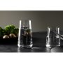 Shine dricksglas 49 cl - Klarglas