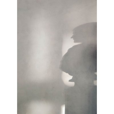 Poster - Human shadow