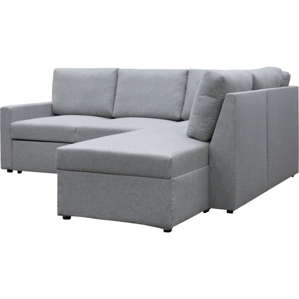 Bddsoffa med frvaring + Flckborttagare fr mbler