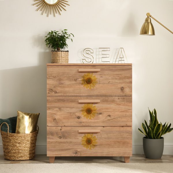 Live Seed-bureau - Pine Live Seed-bureau - Pine