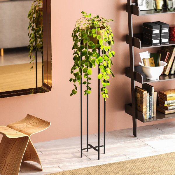 Pot Plato 24 - Noir/or Pot Plato 24 - Noir/or