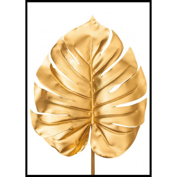 GOLDEN MONSTERA - Poster 50x70 cm
