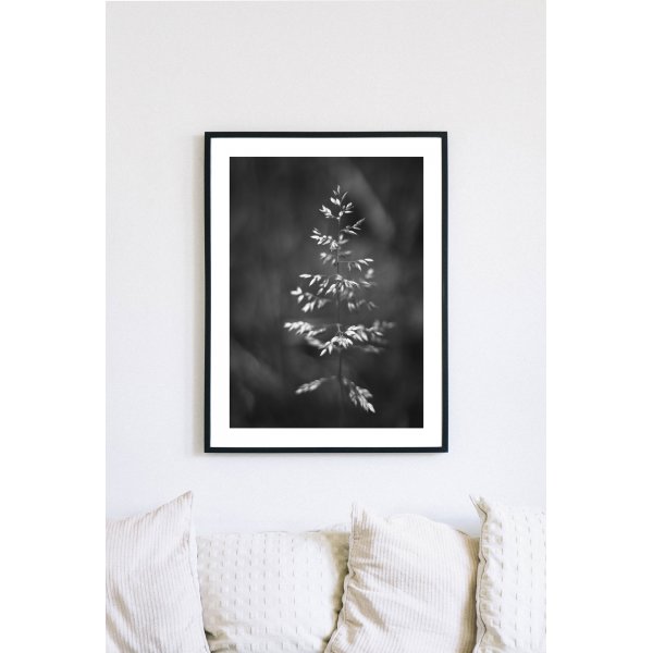 Posterworld - Motief Gras - 50 x 70 cm