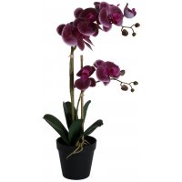 Konstväxt - Orkidé 2 stänglad H54 cm - Mörkrosa Konstväxt - Orkidé 2 stänglad H54 cm - Mörkrosa