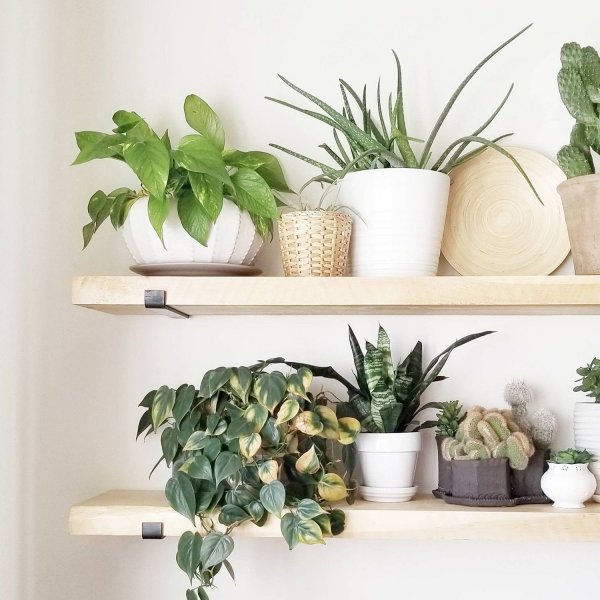 Lamba wandplank 8 - Zwart/eiken Lamba wandplank 8 - Zwart/eiken