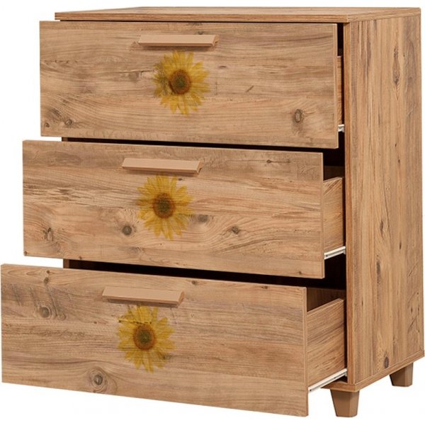 Live Seed-bureau - Pine Live Seed-bureau - Pine