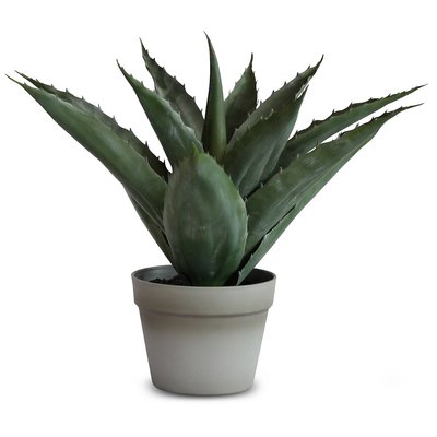 Konstväxt - Alovera planta med grå kruka 45 cm