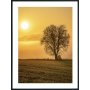 Posterworld - Motiv Lonely Tree - 70x100 cm