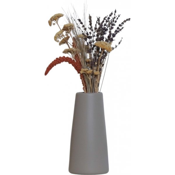Conical vas - Mink
