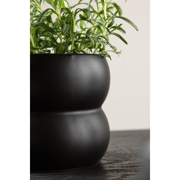 Pot Dapné - Noir Pot Dapné - Noir