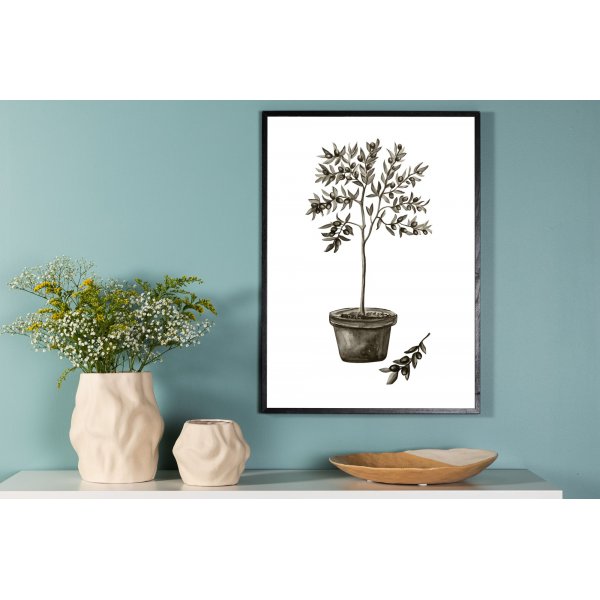 Affiche - Olive Affiche - Olive