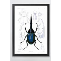 Tavla med ram (Insekt) - 50x70 cm Tavla med ram (Insekt) - 50x70 cm
