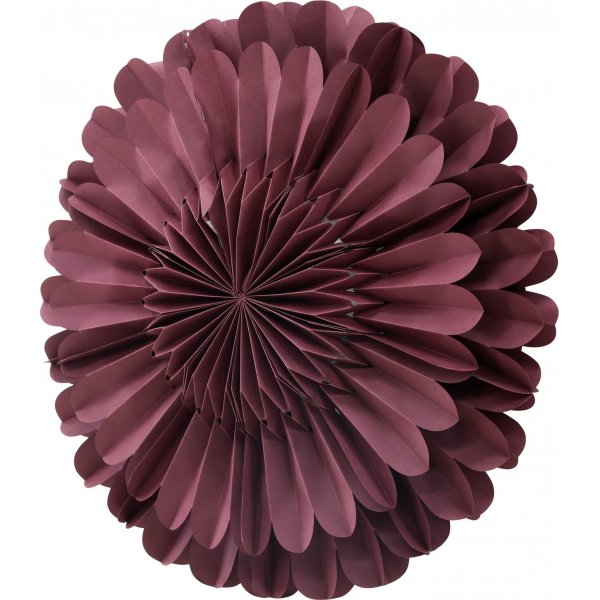 Jrvsn adventsstjrna - Mrkrd/Vit