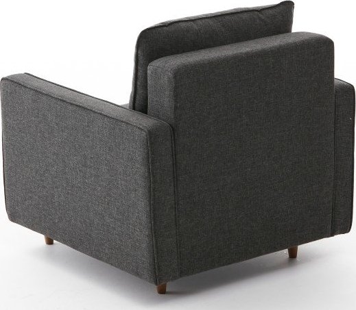 Eca fauteuil - Antraciet + Textielreiniging voor meubels Eca fauteuil - Antraciet + Textielreiniging voor meubels