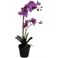 Konstväxt - Orkidé 2 stänglad H54 cm - Rosa Konstväxt - Orkidé 2 stänglad H54 cm - Rosa