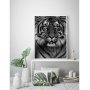 Poster Tiger