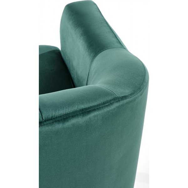 Fauteuil Aric - Vert foncé/noir + Nettoyage textile pour meubles Fauteuil Aric - Vert foncé/noir + Nettoyage textile pour meubles