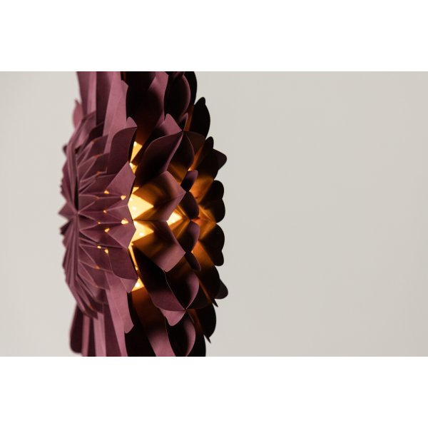 Jrvsn adventsstjrna - Mrkrd/Vit