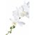 Plante artificielle Orchide - H:47 cm - Vert/blanc