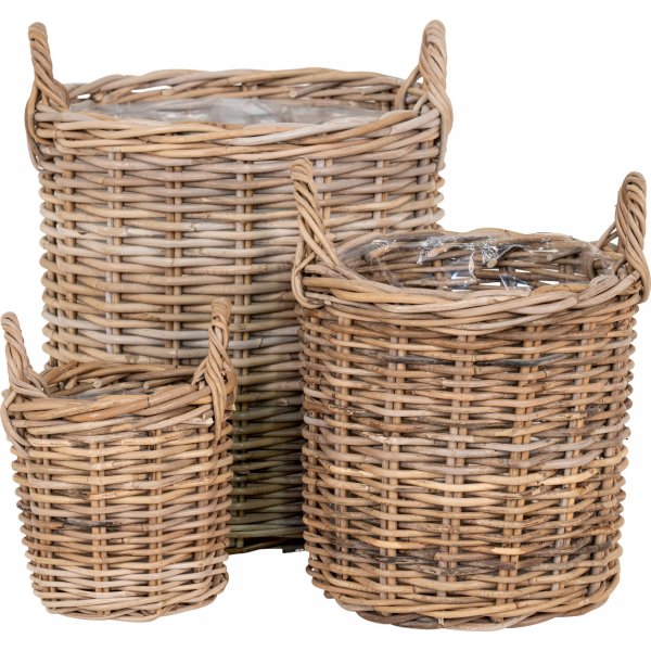 Sema korgset - Rotting