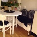 Jättefin bänk över förväntan. Sture sittbänk med hjul och förvaring 90 - vit