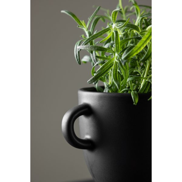 Cent kruka Ø14 cm - Svart Cent kruka Ø14 cm - Svart