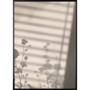 Poster - Flower shadow - 21x30 cm