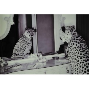 Glastavla - Cheeta - 100x150 cm - Glastavlor, Tavlor, Väggdekor