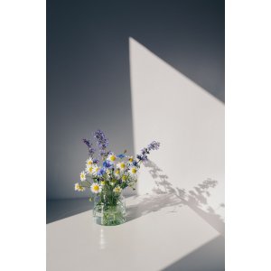 Poster - Flowers - 21x30