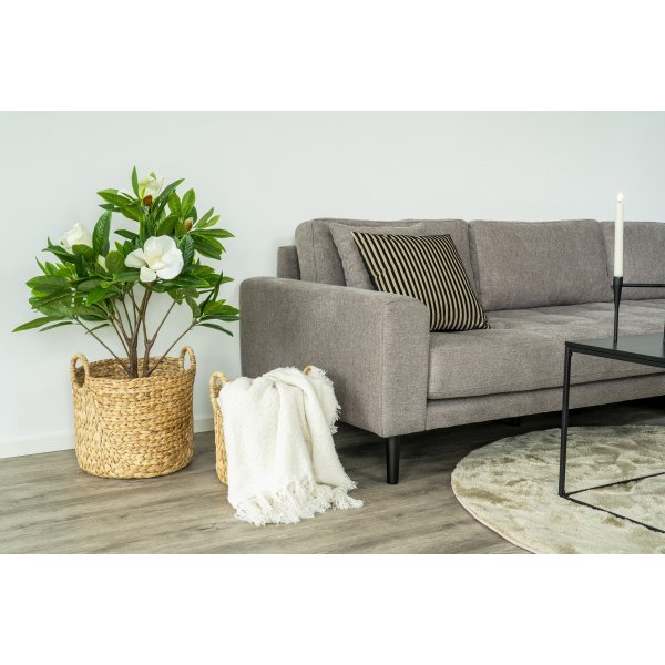 Plaid Salir - Beige Plaid Salir - Beige