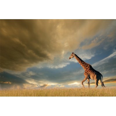 Glastavla - Giraffe - 120x80 cm