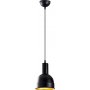Bergamot plafondlamp 183-S - Zwart