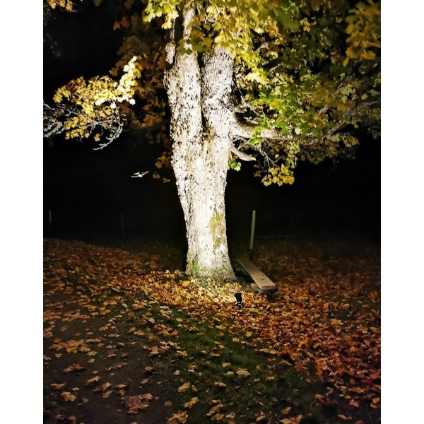 Spot de sol arrière - Noir Spot de sol arrière - Noir