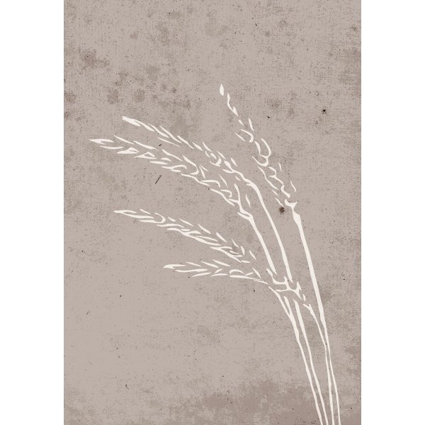 Affiche - Zaden