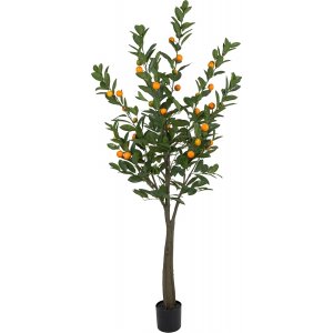 Citrus konstväxt Citrus konstväxt