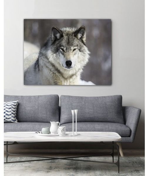 Canvastavla Wolf