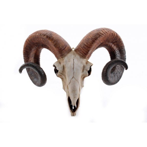 Vggdekoration stenbock horn