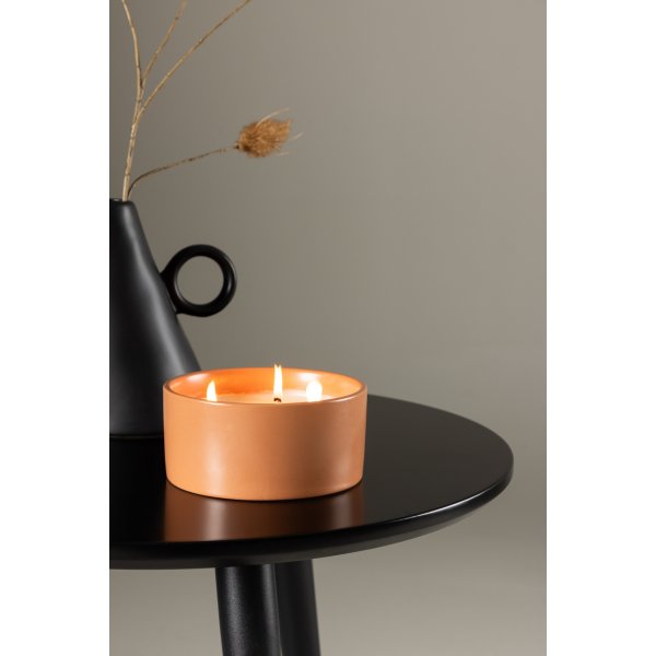 Douglas doftljus - Rostrd