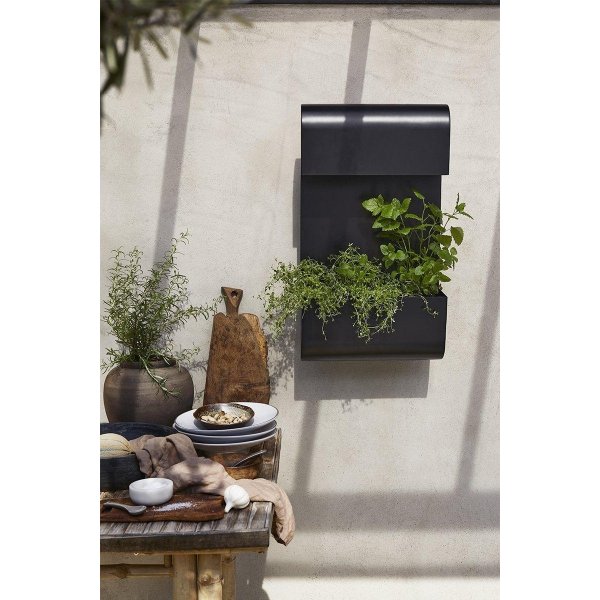 Plantenwandlamp - Zwart - 70x40 cm