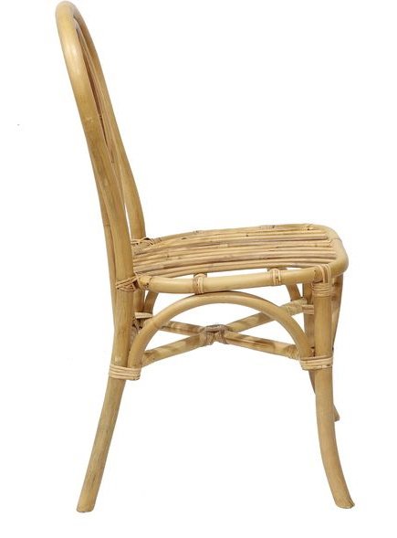 Nevada matstol i rotting - Natur Nevada matstol i rotting - Natur