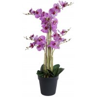 Konstväxt - Orkidé 8 stänglad H80 cm - Rosa Konstväxt - Orkidé 8 stänglad H80 cm - Rosa