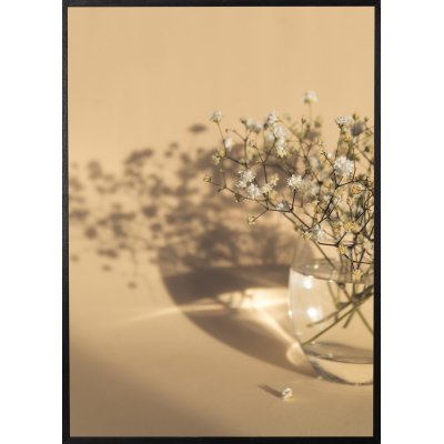 Poster - White flowers