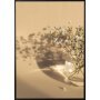 Affiche - Fleurs blanches