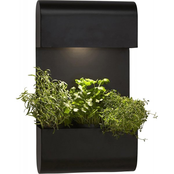 Plantenwandlamp - Zwart - 70x40 cm