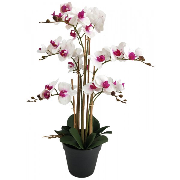 Konstvxt - Orkid 8 stnglad H80 cm - Vit/Rosa