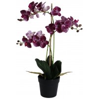 Konstväxt - Orkidé 3 stänglad H64 cm - Mörkrosa Konstväxt - Orkidé 3 stänglad H64 cm - Mörkrosa